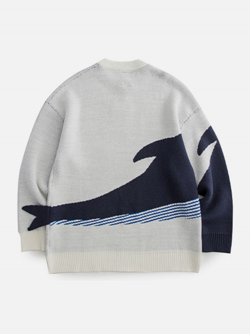 Chandails Aelfric Eden The Loneliest Whale Knit Blanche | ZKY-39536784